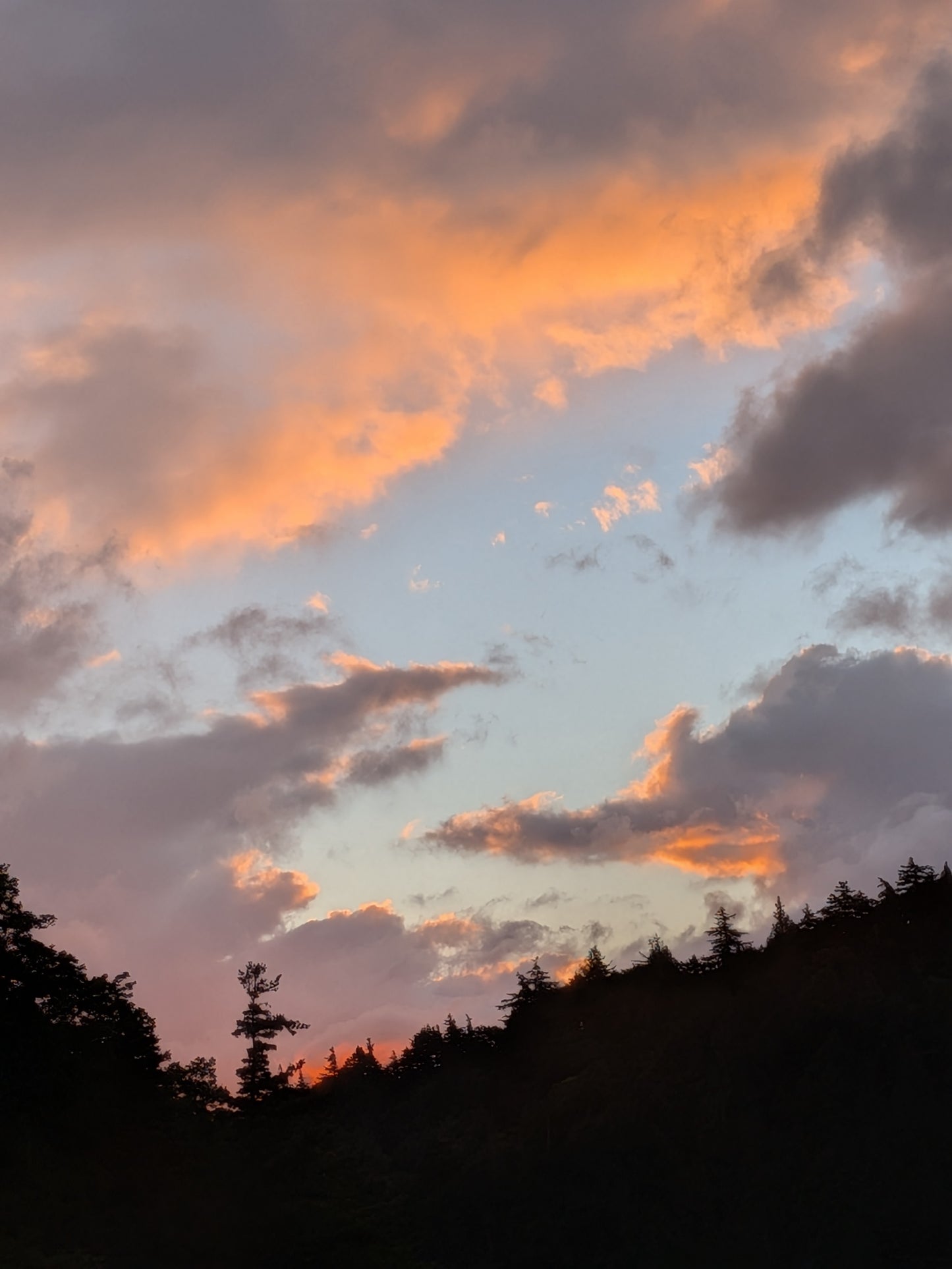 Eternal Life 森の精霊 男性ボーカル 夕焼けの空